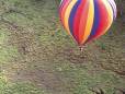 Hot air ballooning over the Serengeti