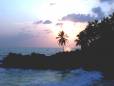 Beach sunset
