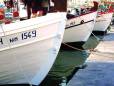 Boats in Fethiye harbour