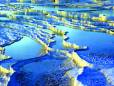 The calcium terraces of Pamukkale