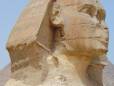 Close up of Sphinx