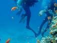 Diving in Dahab