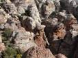 Jebel formations in Dana Nature Reserve