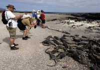 Visitors to the Galapagos getting up close and personal with the resident lizards