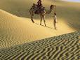 Pushkar Desert