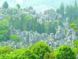 Looking over the Stone Forest