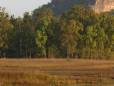 Bandhavgarh National Park