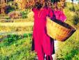 Grass carrier