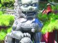 Lion Guard