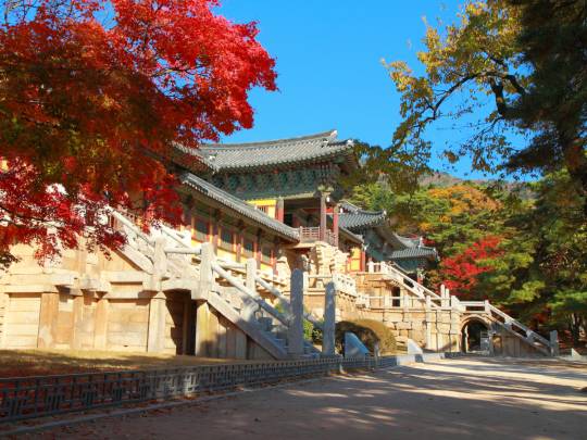Seoul & Silla Kingdoms - 6 Days