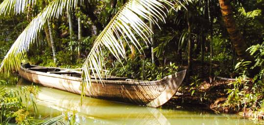 A boat on the Keralan backwaters