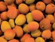 Lychees, a local delicacy