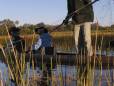 Mokoro poler in the Okavango Delta