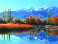 Dal lake & snowy mountains