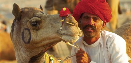 Bikaner Camel Festival - Rajasthan