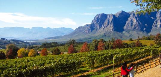 Stellenbosch Wine Festival