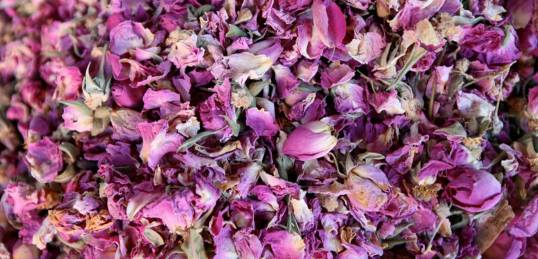 Valley of the Roses Festival - Dades Valley