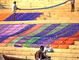 Saris drying