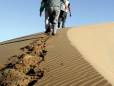 Heading for the top of Dune 45