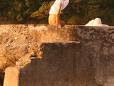 Yoga in the sunshine