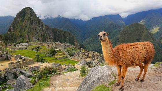 Cameras at the Ready: 7 of the Best Views in the World and Where to Find Them (7 minute read) Article Image