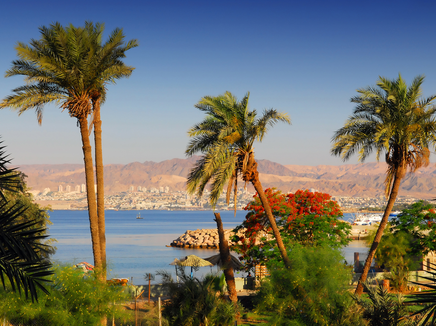 Day 6 - The Red Desert & coastal Aqaba
