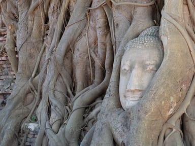 <span>Day 4</span>Ayutthaya & Lopburi