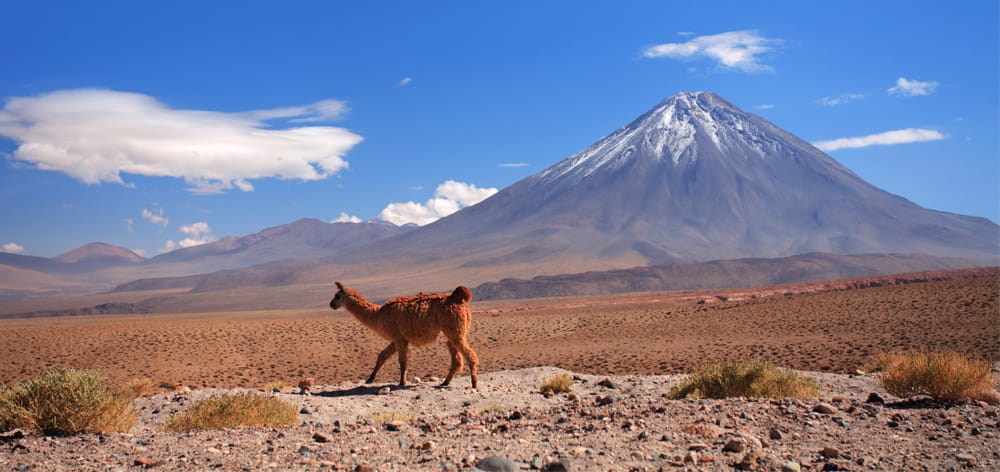 GAdventures