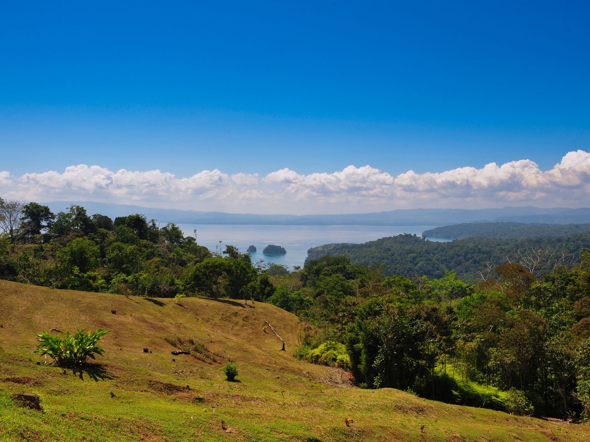 GAdventures