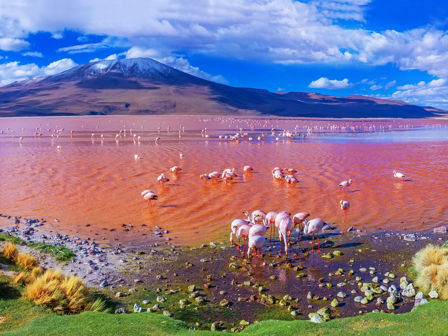 GAdventures