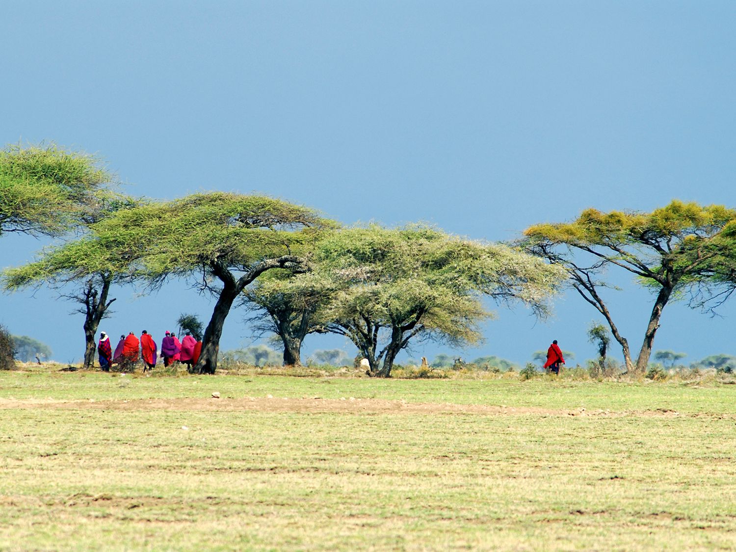 GAdventures