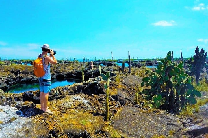 GAdventures