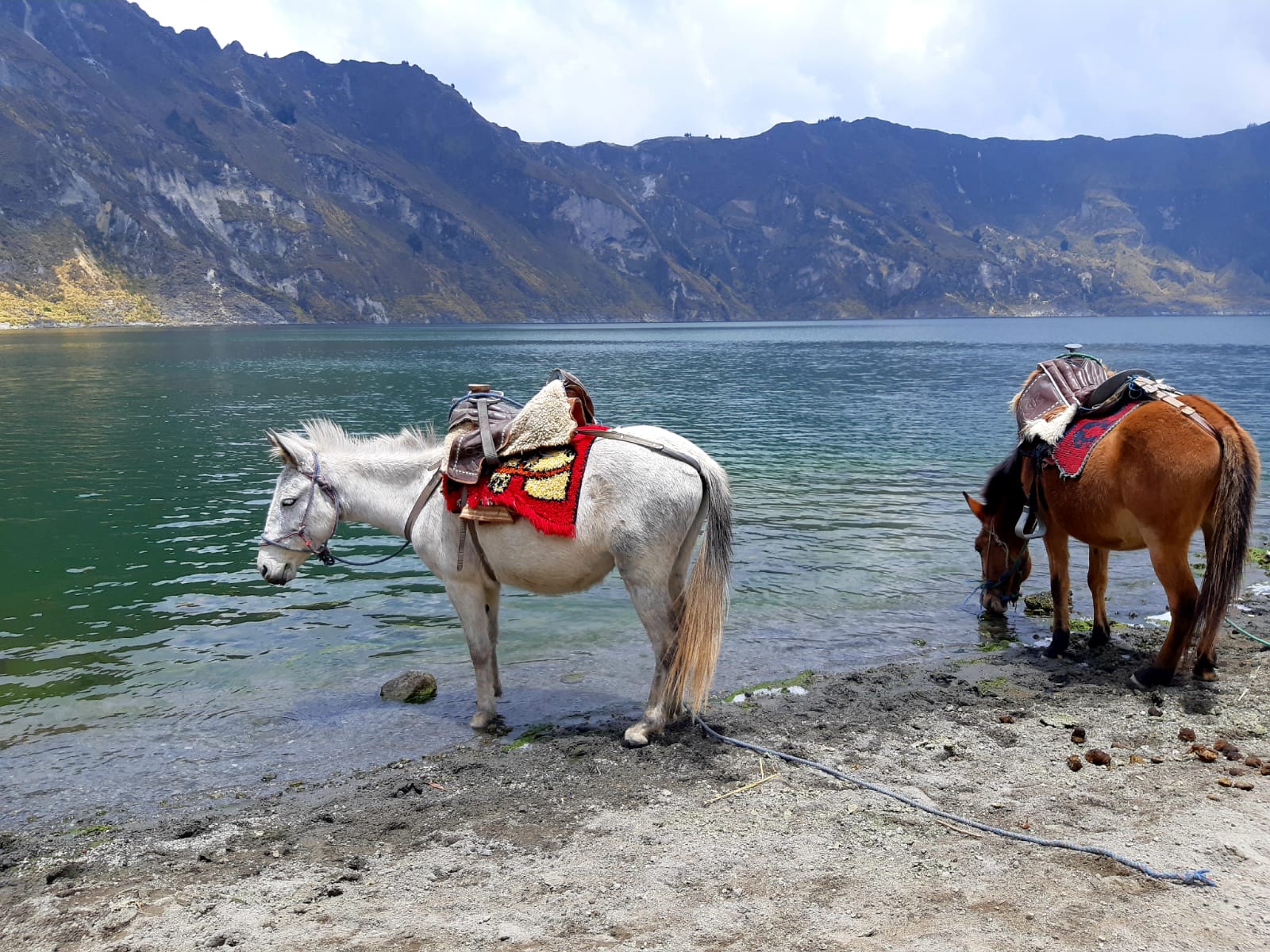 GAdventures