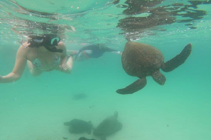 GAdventures