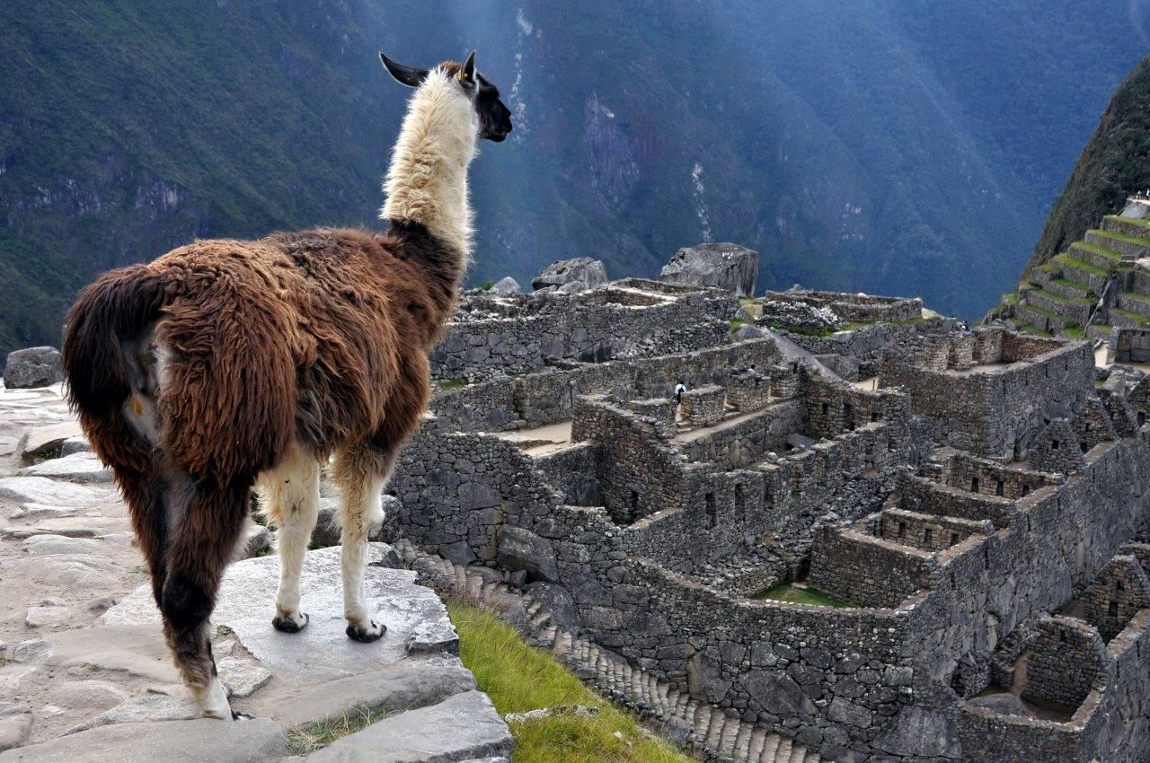 GAdventures