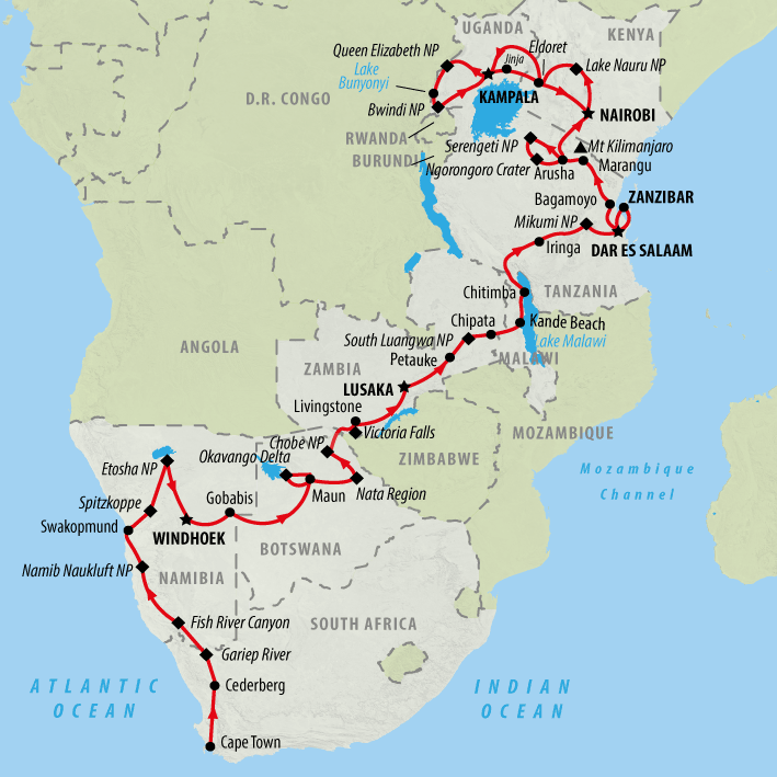 Rhino - Gorilla and Game Trek