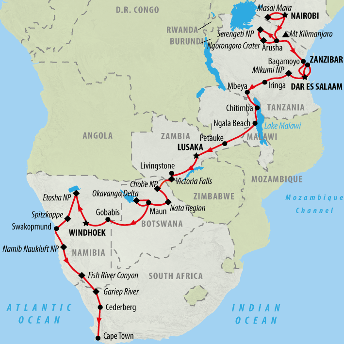 Giraffe | African Safaris | Africa