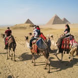 Camel trekking | The Pyramids | Giza | Egypt