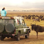 On a game drive in Ngorongoro Crater | Tanzania | Africa