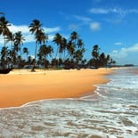Sandy beach in Goa