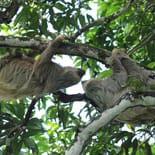 Manuel Antonio National Park | Costa Rica | Central America