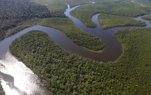 Amazon jungle - Best places to visit in Brazil - On The Go Tours