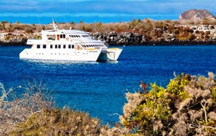 Anahi Catamaran South Plazas