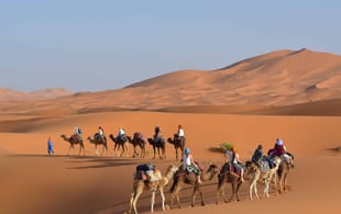 Camel Trekking in the Sahara - Morocco Tours - On The Go Tours