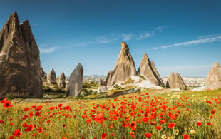 Cappadocia and poppies - Best time to visit Turkey - On The Go Tours