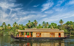 Captivating Kerala