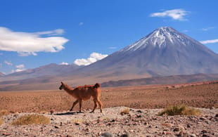 Chile-Tab