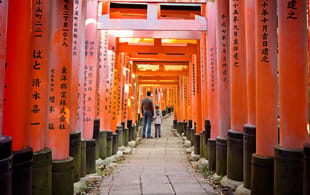 Fushimi inari in kyoto family