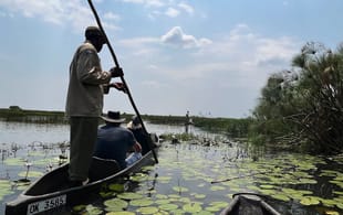 Okavango Delta mokoro excursion - Botswana - On The Go Tours