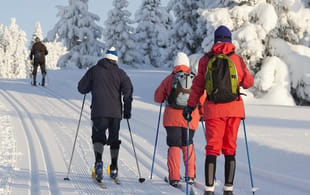 People cross country skiining in Lapland